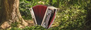 Read more about the article Die Steirische Harmonika ist ein wechseltöniges Instrument