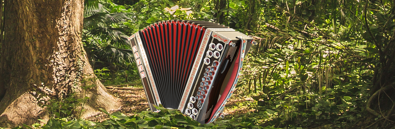 You are currently viewing Die Steirische Harmonika ist ein wechseltöniges Instrument